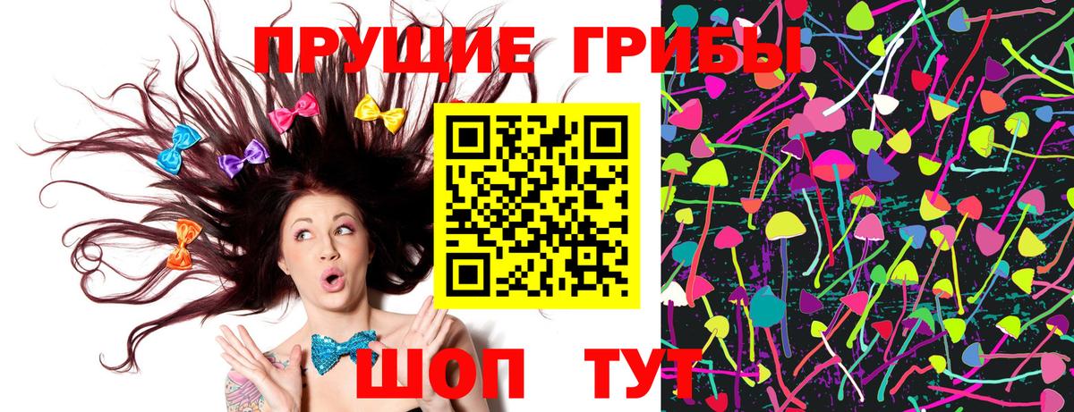 Галлюциногенные грибы Psilocybe Гудермес