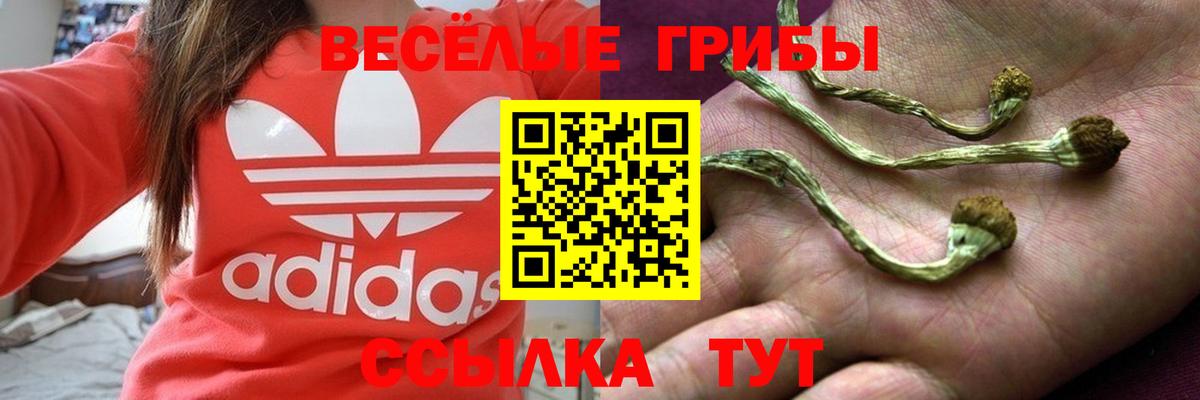 Галлюциногенные грибы прущие грибы  Псилоцибиновые грибы прущие грибы  Вход с VPN  Гудермес 